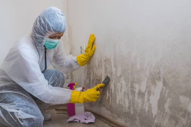 Best Crawl Space Mold Removal  in Flence, OR