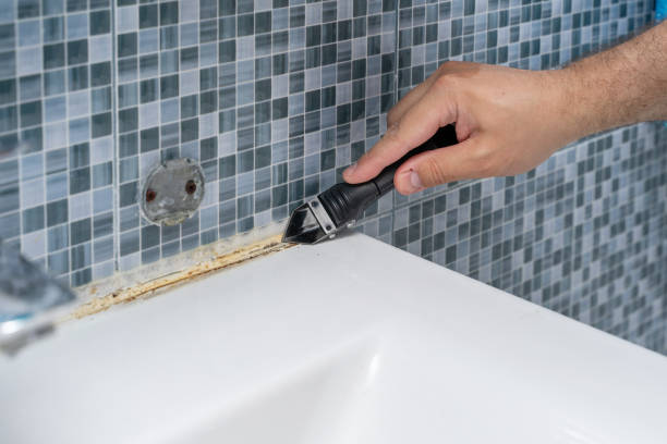 Best Mold Remediation  in Flence, OR