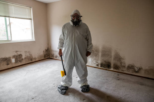 Best Attic Mold Removal  in Flence, OR